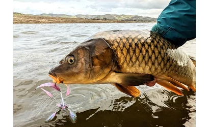 Pontyhorgászat Magyarországon: A nagy kapások nyomában